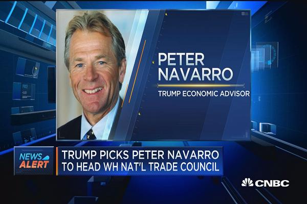 Peter Navarro, Trade